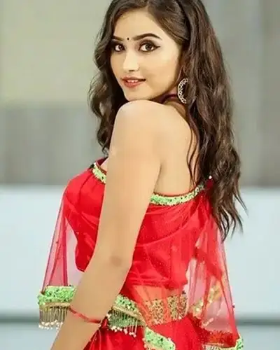 Call Girls Service Hansot